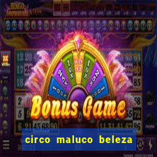 circo maluco beleza recife circo maluco