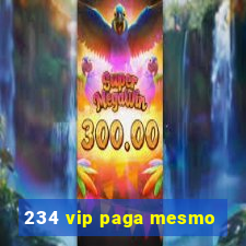 234 vip paga mesmo