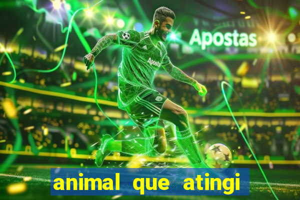 animal que atingi 230 decibeis