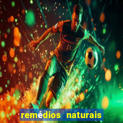 remédios naturais para diabetes