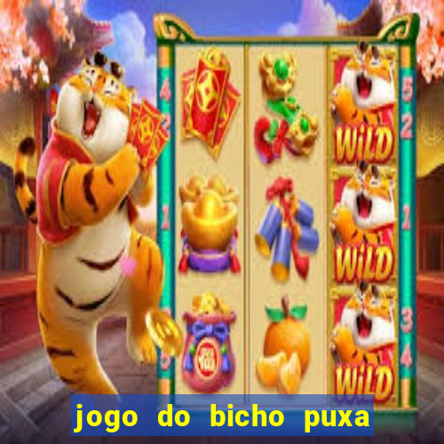 jogo do bicho puxa de dona maria