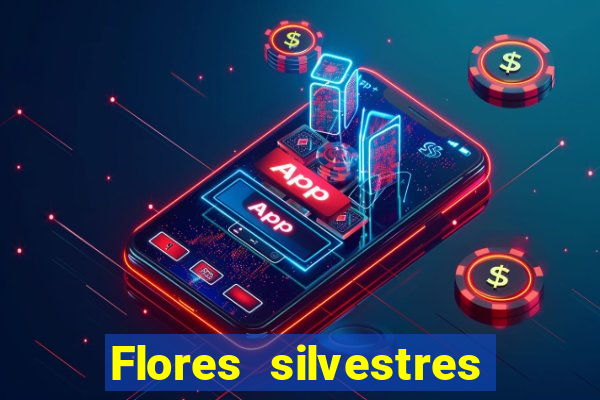 Flores silvestres brasileiras brasileiras flores silvestres nomes e imagens