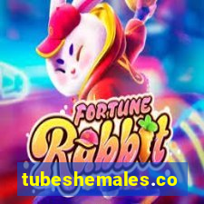 tubeshemales.com