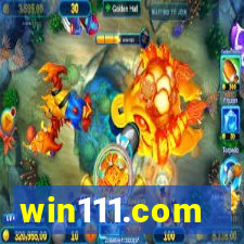 win111.com